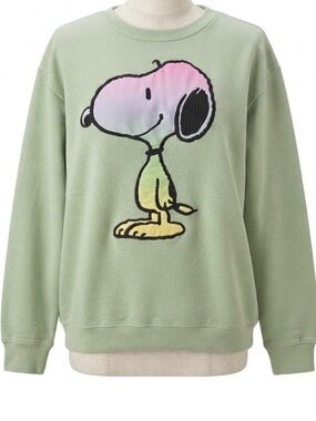 Peanuts Snoopy Rainbow Ombre Embroidered Sweatshirt Sage Green Cartoon Medium